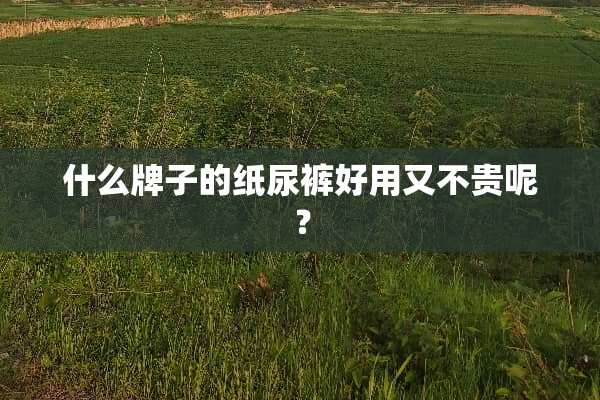 什么牌子的纸尿裤好用又不贵呢？
