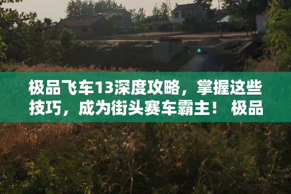 极品飞车13深度攻略，掌握这些技巧，成为街头赛车霸主！ 极品飞车13攻略