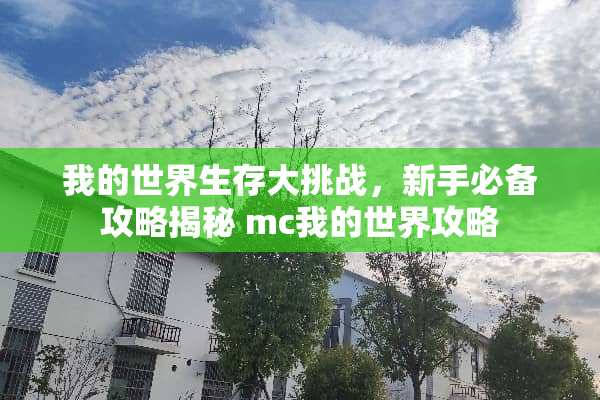 我的世界生存大挑战，新手必备攻略揭秘 mc我的世界攻略