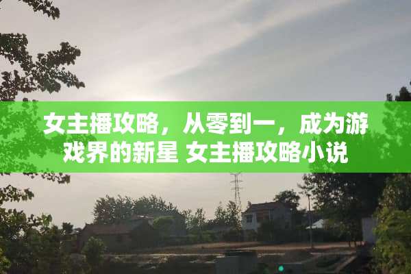 女主播攻略，从零到一，成为游戏界的新星 女主播攻略小说