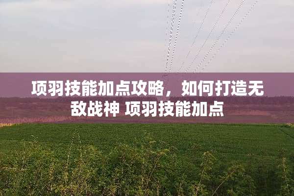 项羽技能加点攻略，如何打造无敌战神 项羽技能加点