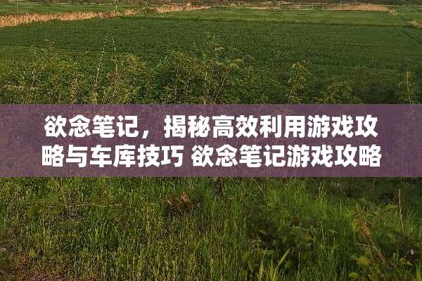 欲念笔记，揭秘高效利用游戏攻略与车库技巧 欲念笔记游戏攻略车库