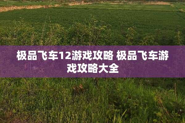 极品飞车12游戏攻略 极品飞车游戏攻略大全