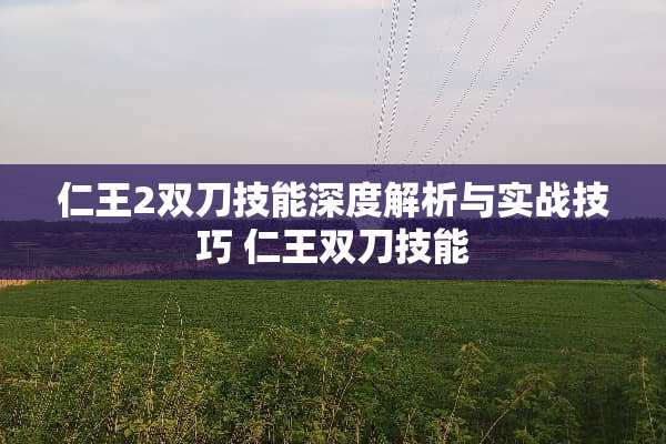 仁王2双刀技能深度解析与实战技巧 仁王双刀技能