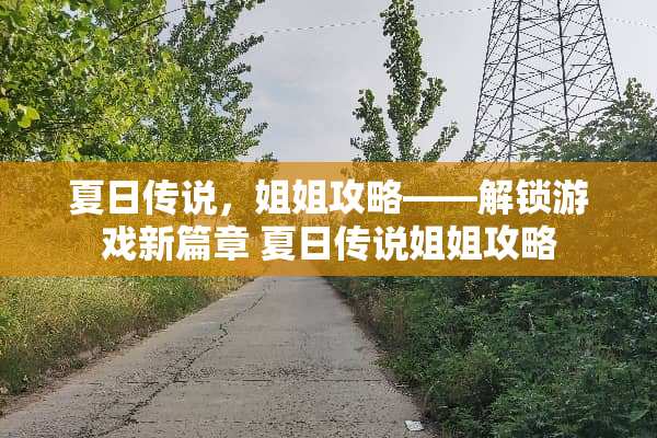 夏日传说，姐姐攻略——解锁游戏新篇章 夏日传说姐姐攻略