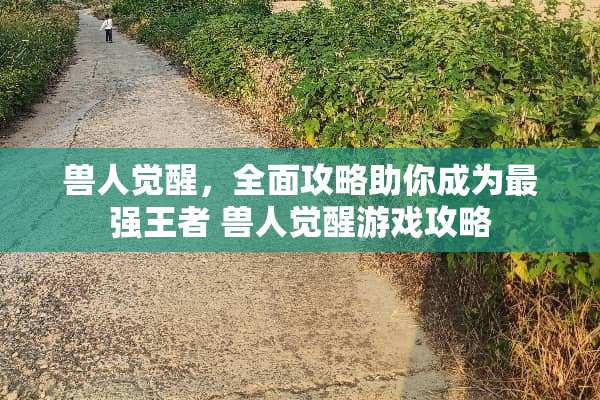 兽人觉醒，全面攻略助你成为最强王者 兽人觉醒游戏攻略