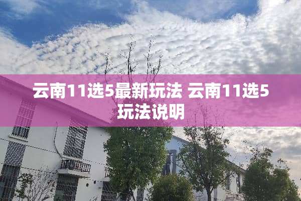 云南11选5最新玩法 云南11选5玩法说明