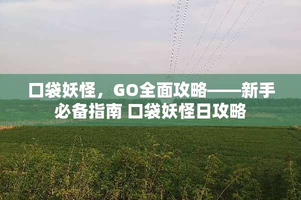 口袋妖怪，GO全面攻略——新手必备指南 口袋妖怪日攻略