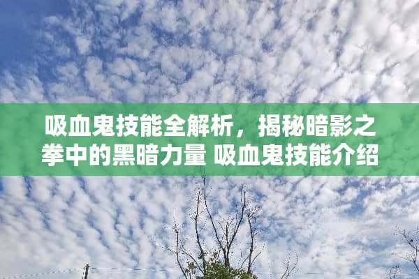 吸血鬼技能全解析，揭秘暗影之拳中的黑暗力量 吸血鬼技能介绍