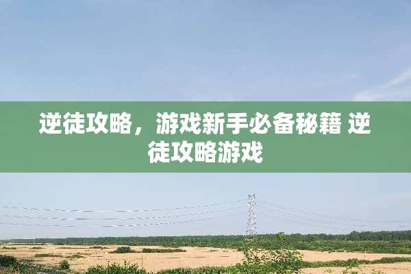 逆徒攻略，游戏新手必备秘籍 逆徒攻略游戏