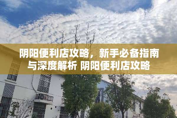 *阳便利店攻略，新手必备指南与深度解析 *阳便利店攻略