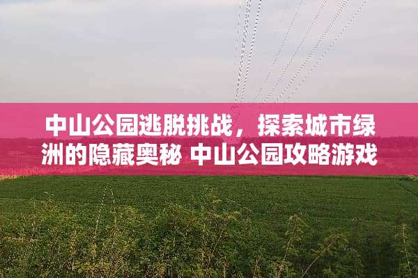 中山公园逃脱挑战，探索城市绿洲的隐藏奥秘 中山公园攻略游戏
