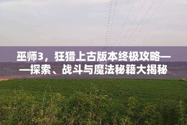 巫师3，狂猎上古版本终极攻略——探索、战斗与魔法秘籍大揭秘 巫师3上古游戏攻略