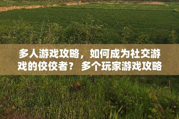多人游戏攻略，如何成为社交游戏的佼佼者？ 多个玩家游戏攻略