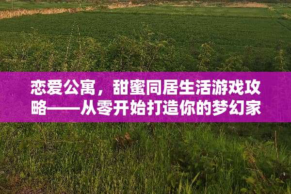 恋爱公寓，甜蜜**生活游戏攻略——从零开始打造你的梦幻家园！ 恋爱公寓游戏攻略