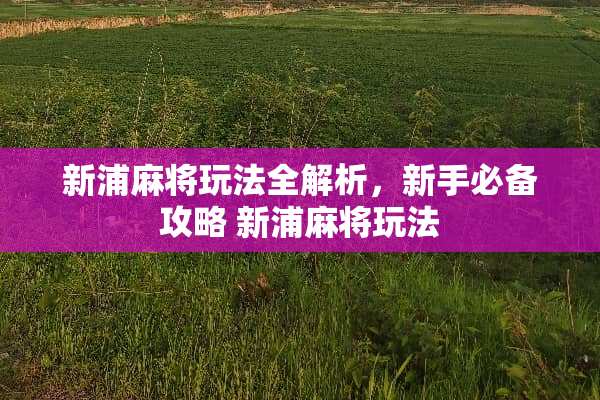 新浦**玩法全解析，新手必备攻略 新浦**玩法