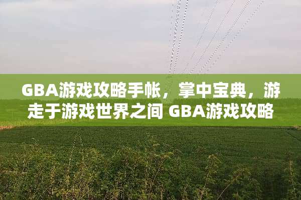 GBA游戏攻略手帐，掌中宝典，游走于游戏世界之间 GBA游戏攻略手帐