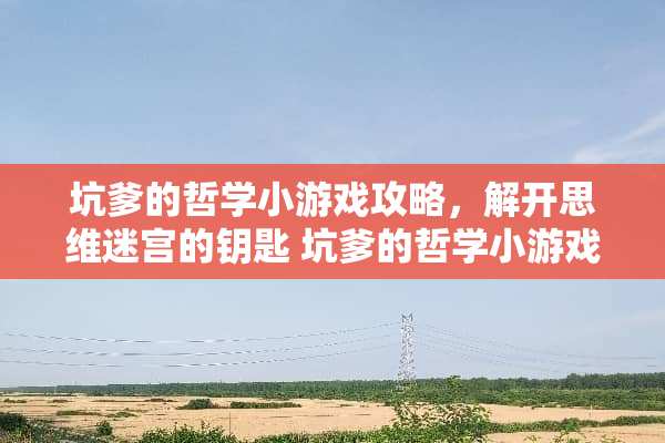 坑爹的哲学小游戏攻略，解开思维迷宫的钥匙 坑爹的哲学小游戏攻略