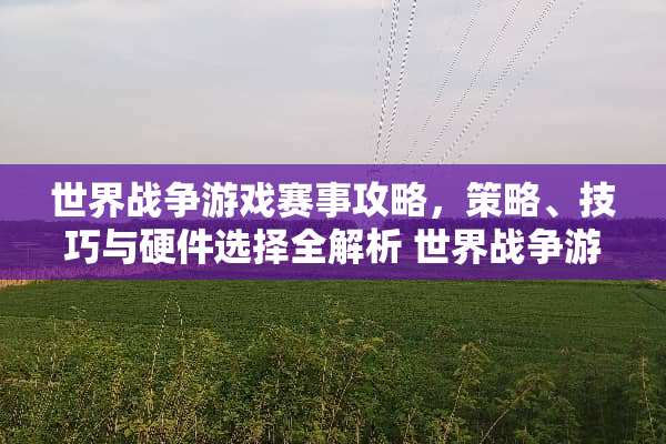 世界战争游戏赛事攻略，策略、技巧与硬件选择全解析 世界战争游戏赛事攻略