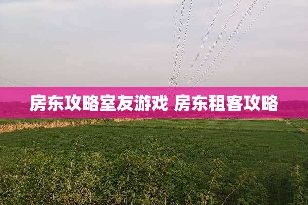 房东攻略室友游戏 房东租客攻略