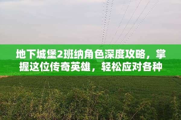 **城堡2班纳角色深度攻略，掌握这位传奇英雄，轻松应对各种挑战 **城堡2班纳攻略