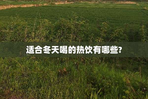 适合冬天喝的热饮有哪些?