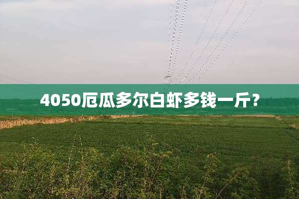 4050厄瓜多尔白虾多钱一斤？