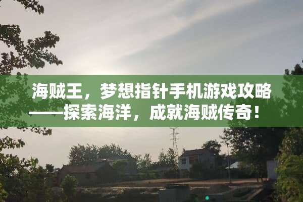 海贼王，梦想指针手机游戏攻略——探索海洋，成就海贼传奇！ 海贼王手机游戏攻略