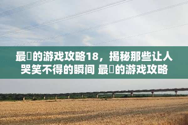 最囧的游戏攻略18，揭秘那些让人哭笑不得的瞬间 最囧的游戏攻略18