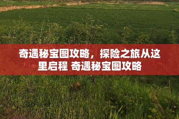 奇遇秘宝图攻略，探险之旅从这里启程 奇遇秘宝图攻略