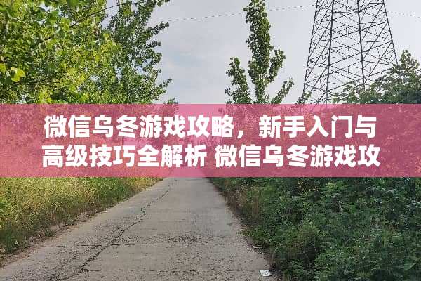 微信乌冬游戏攻略，新手入门与高级技巧全解析 微信乌冬游戏攻略