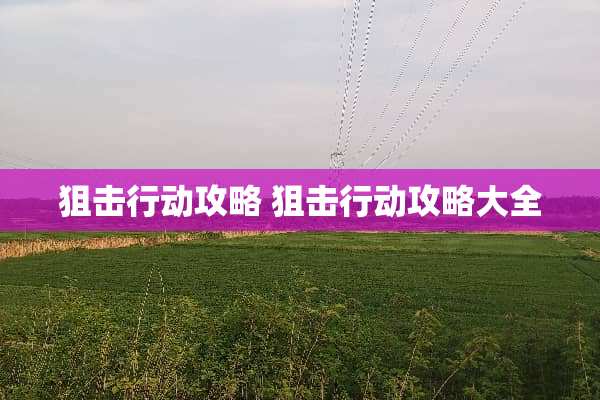 **行动攻略 **行动攻略大全