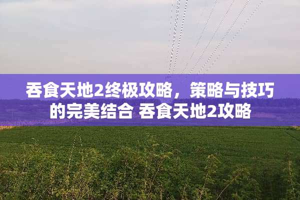 吞食天地2终极攻略，策略与技巧的完美结合 吞食天地2攻略
