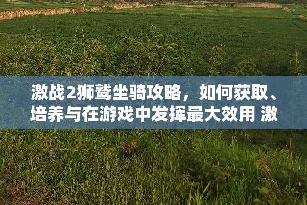 激战2狮鹫坐骑攻略，如何获取、培养与在游戏中发挥最大效用 激战2狮鹫坐骑攻略