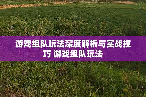 游戏组队玩法深度解析与实战技巧 游戏组队玩法