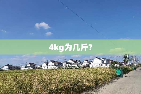 4kg为几斤？
