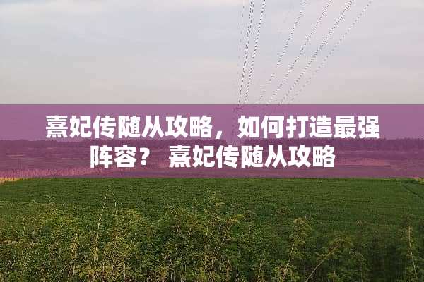 熹妃传随从攻略，如何打造最强阵容？ 熹妃传随从攻略