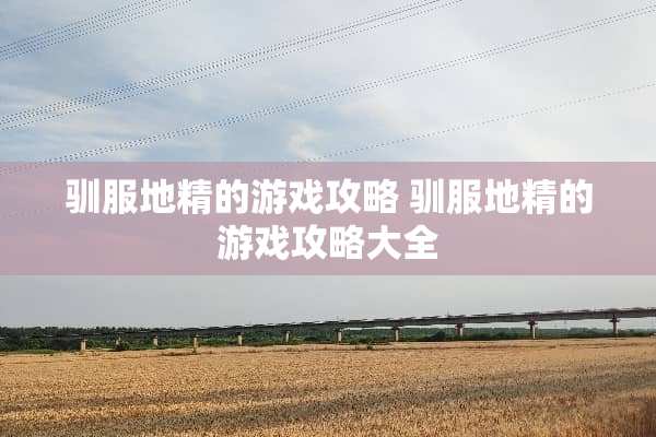 驯服地精的游戏攻略 驯服地精的游戏攻略大全