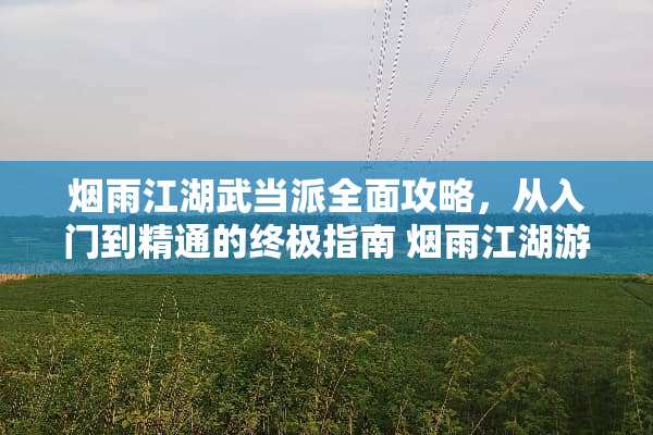 烟雨江湖武当派全面攻略，从入门到精通的终极指南 烟雨江湖游戏武当攻略图