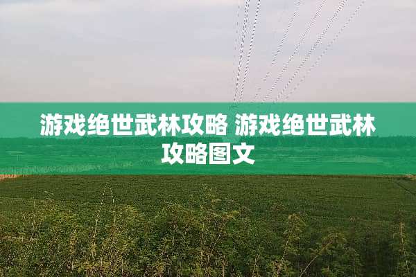 游戏绝世武林攻略 游戏绝世武林攻略图文