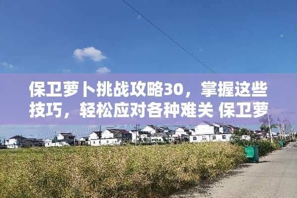 保卫萝卜挑战攻略30，掌握这些技巧，轻松应对各种难关 保卫萝卜挑战攻略30