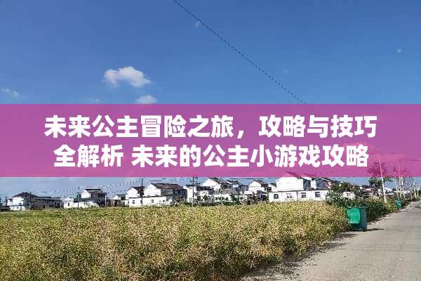 未来公主冒险之旅，攻略与技巧全解析 未来的公主小游戏攻略