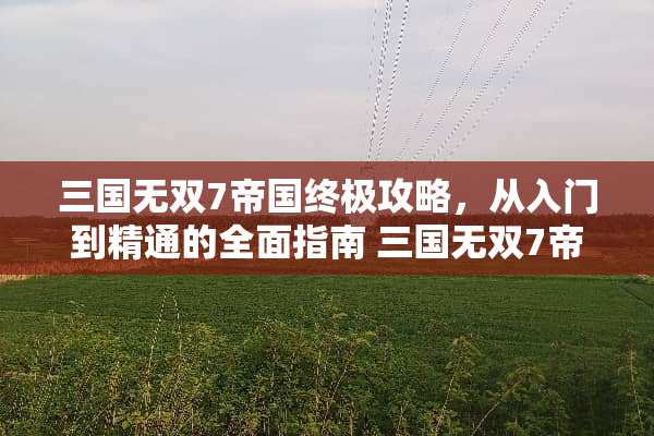 三国无双7帝国终极攻略，从入门到精通的全面指南 三国无双7帝国攻略