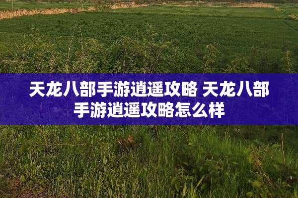 天龙八部手游逍遥攻略 天龙八部手游逍遥攻略怎么样