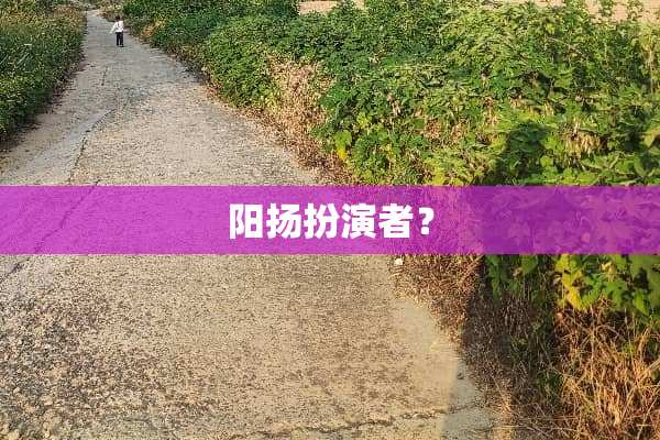 阳扬扮演者？