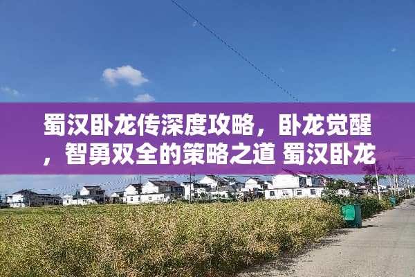 蜀汉卧龙传深度攻略，卧龙觉醒，智勇双全的策略之道 蜀汉卧龙传攻略