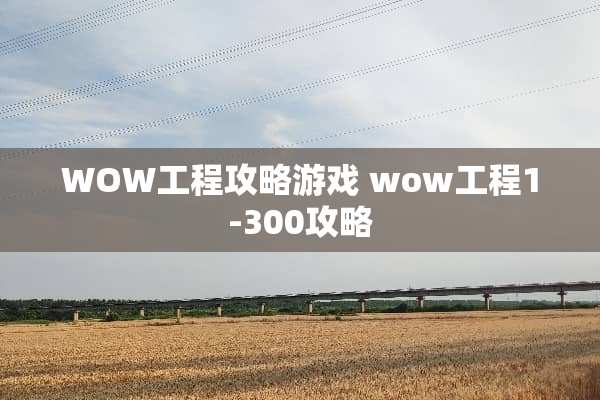 WOW工程攻略游戏 wow工程1-300攻略