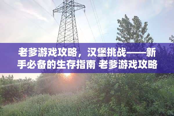 老爹游戏攻略，汉堡挑战——新手必备的生存指南 老爹游戏攻略汉堡