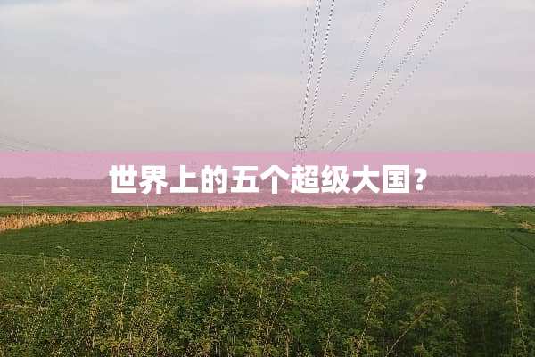 世界上的五个超级大国？