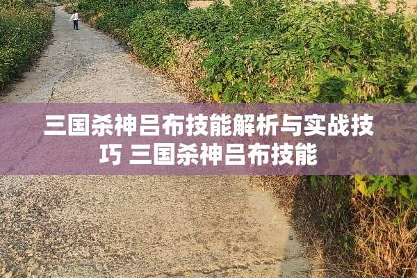 三国杀神吕布技能解析与实战技巧 三国杀神吕布技能